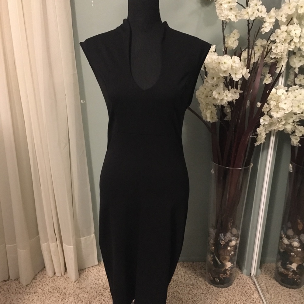 Windsor bodycon dress